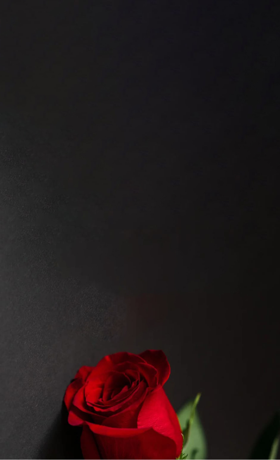 Fryzjer Gdynia życzenia dzień kobiet