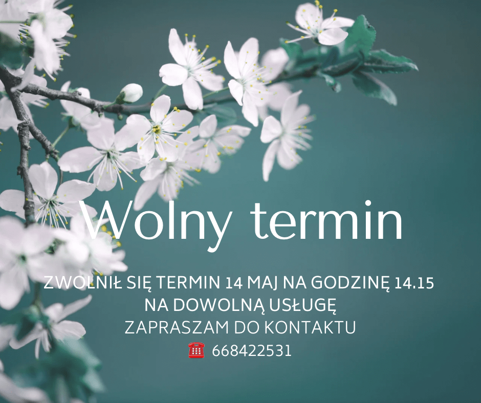 Wolny Termin